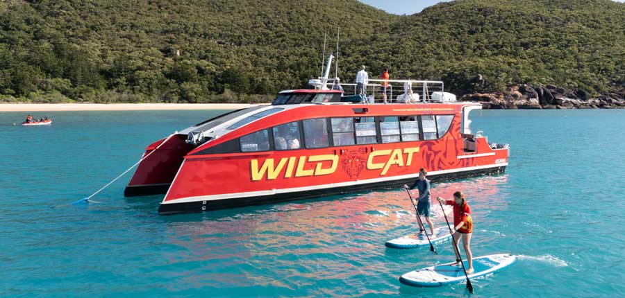 Wildcat & Stand Up Paddleboard